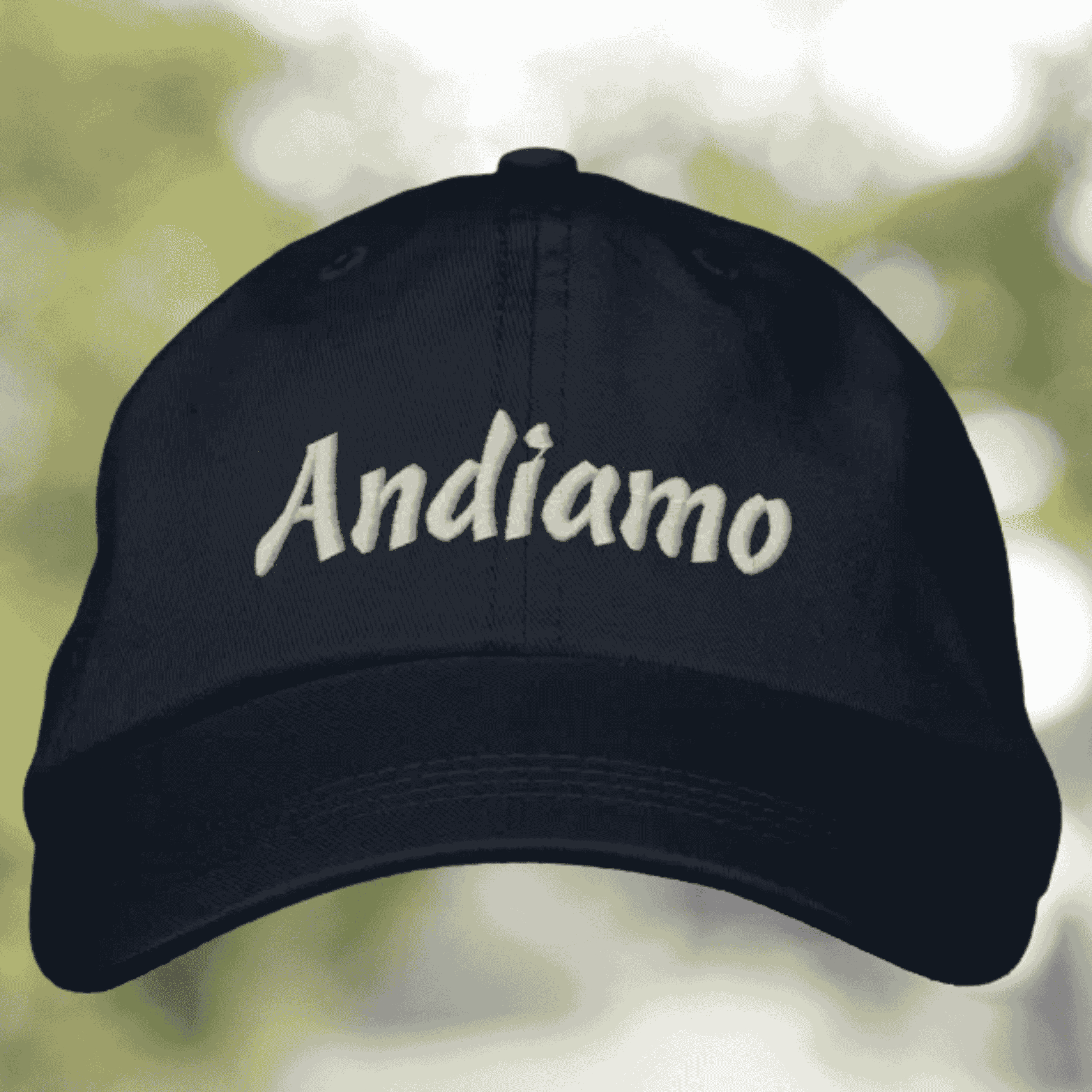 Black cap with 'Andiamo' script embroidery- Italian heritage gift for travel lover