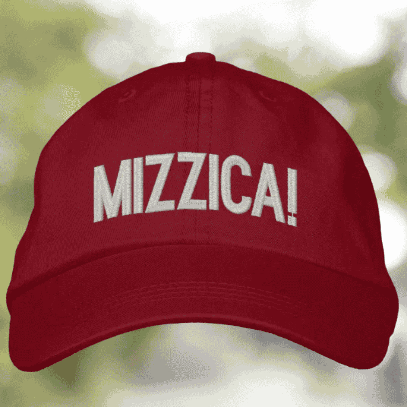 Mizzica Embroidered Hat